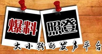 新闻爆料需要什么,新闻爆料背后的真相与挑战  第2张